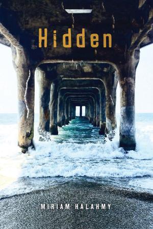 Cover of the book Hidden by Mary Amato