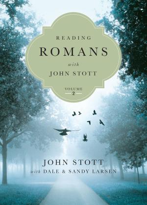 Cover of the book Reading Romans with John Stott, vol. 2 by J.R. Briggs, Bob Hyatt