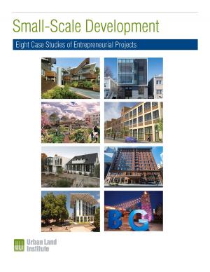 Cover of the book Small-Scale Development: Eight Case Studies of Entrepreneurial Projects by Maureen McAvey, Uwe Brandes, Matthew Johnston
