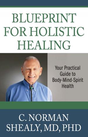 Book cover of Blueprint for Holistic Healing