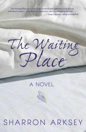 Book cover of The Waiting Place