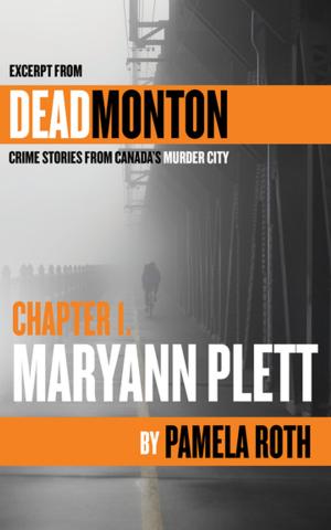 Cover of the book Ch 1- Maryann Plett by Marq de Villiers