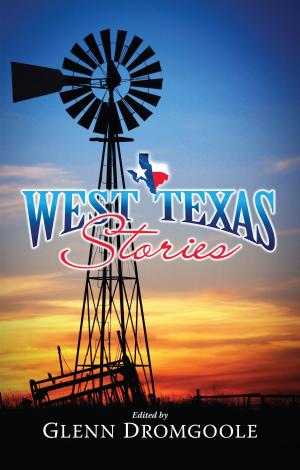 Cover of the book West Texas Stories by Don McLaughlin