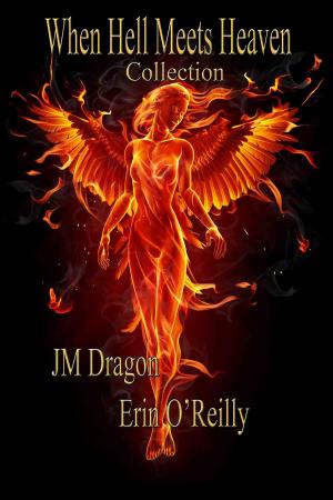 Cover of the book The When Hell Meets Heaven Collection by JM Dragon
