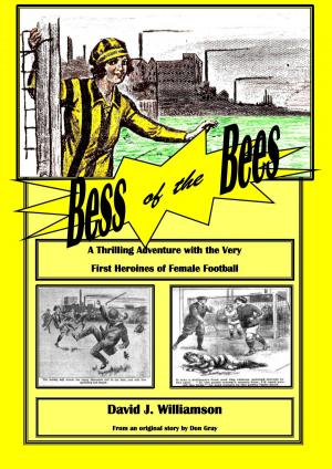 Cover of Bess of the Bees