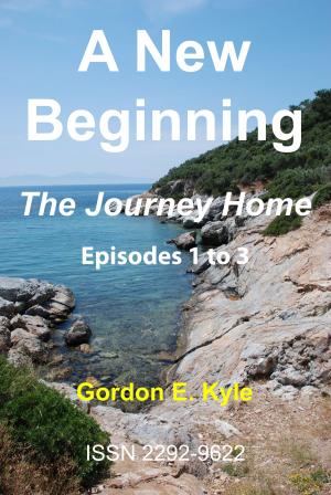 bigCover of the book A New Beginning - The Journey Home by 