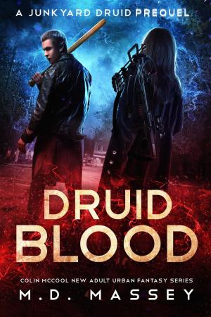 Book cover of Druid Blood