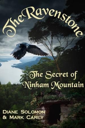 Book cover of The Ravenstone: The Secret of Ninham Mountain