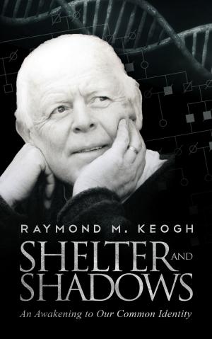 Book cover of Shelter and Shadows