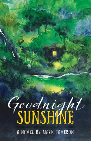 Book cover of Goodnight Sunshine