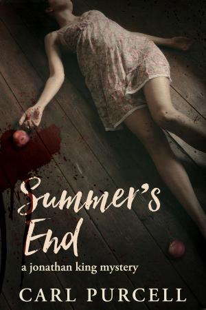 Cover of the book Summer's End by Erica Spindler