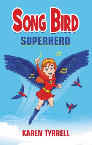 Cover of the book Song Bird Superhero by Ged Gillmore