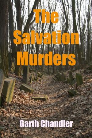 Cover of the book The Salvation Murders by Tom Bierdz