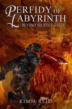 Book cover of Perfidy of Labyrinth