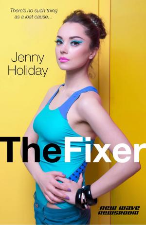 Cover of the book The Fixer by Penelope L'Amoreaux