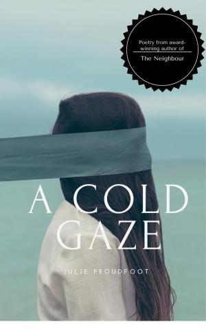Cover of the book A Cold Gaze by Adrian Corday