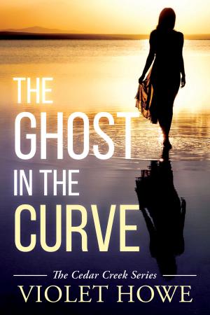 Cover of the book The Ghost in the Curve by Stuart Palmer
