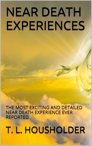 Cover of the book NEAR DEATH EXPERIENCES by Aingeal Rose O'Grady, Ahonu