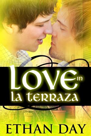 Book cover of Love in La Terraza