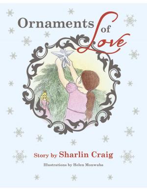 Cover of the book Ornaments of Love by Melissa Scott