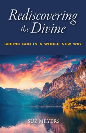 Cover of the book Rediscovering the Divine by Brad Harper, Drew Harper