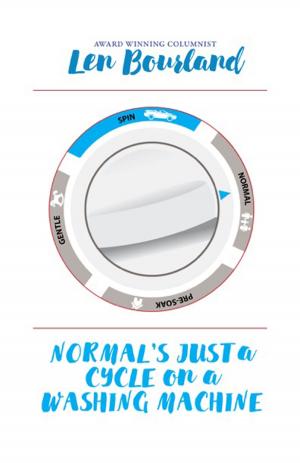 Cover of the book Normal's Just a Cycle On a Washing Machine by Eric Anthony