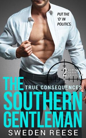 Cover of the book The Southern Gentleman: True Consequences by Raj Mirages