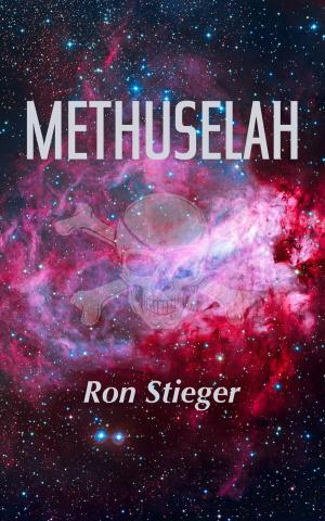 Cover of the book Methuselah by Alanah Andrews