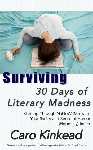 Cover of the book Surviving 30 Days of Literary Madness by John D Adamus