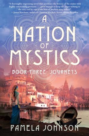 Cover of the book A Nation of Mystics? Book Three: Journeys by Jennifer Shun