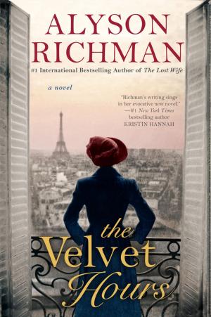 Cover of the book The Velvet Hours by 