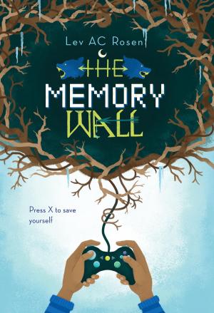 Cover of the book The Memory Wall by David Lewman