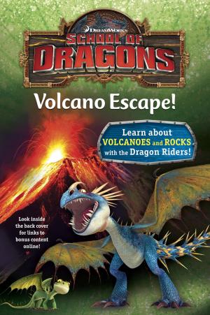 Cover of the book School of Dragons #1: Volcano Escape! (DreamWorks Dragons) by Wendelin Van Draanen