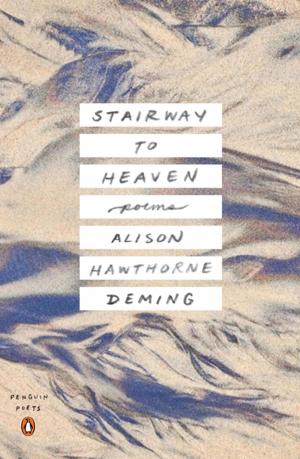 Cover of the book Stairway to Heaven by Rob Thurman