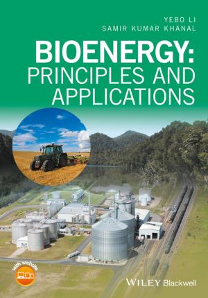 Book cover of Bioenergy