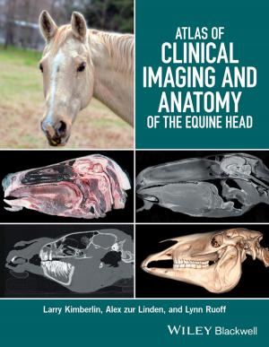 Cover of the book Atlas of Clinical Imaging and Anatomy of the Equine Head by Terry Campbell