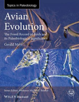 Cover of the book Avian Evolution by Carla C. Morris, Robert M. Stark