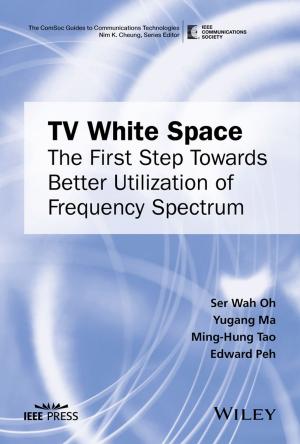 Cover of the book TV White Space by William L. Luyben