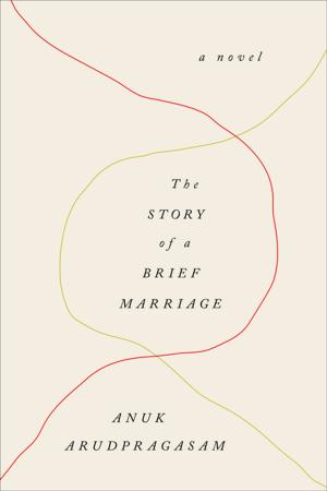 Cover of the book The Story of a Brief Marriage by Gita Trelease