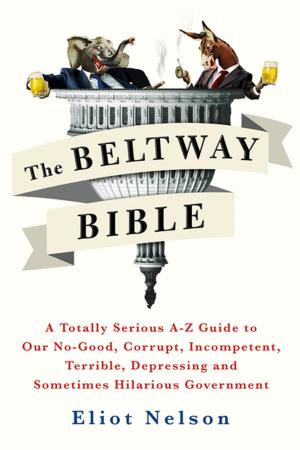 Cover of the book The Beltway Bible by Carlene Thompson