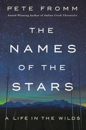 Cover of the book The Names of the Stars by Elizabeth J. Duncan