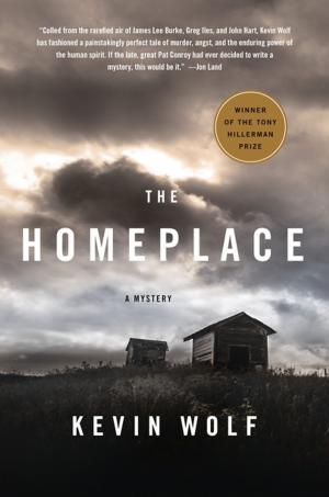 Cover of the book The Homeplace by Rachel Ballinger
