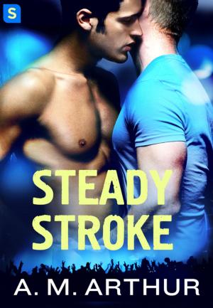 Book cover of Steady Stroke