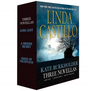 Cover of the book Kate Burkholder: Three Novellas by Phyllis Chesler