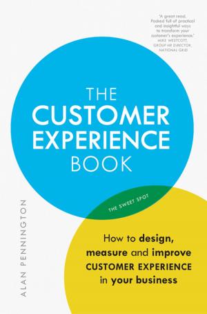 Cover of the book The Customer Experience Book by Joe McNally