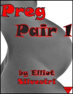 Cover of the book Preg Pair 1 by Elliot Silvestri, Grace Vilmont