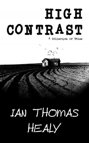 Cover of High Contrast: A Collection of Tales