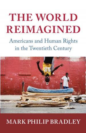Cover of the book The World Reimagined by Kenneth R. Westphal