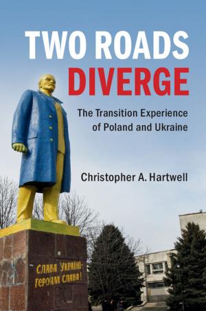 Cover of the book Two Roads Diverge by 