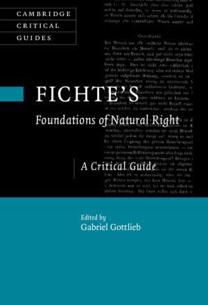 Cover of the book Fichte's Foundations of Natural Right by Stefano Zapperi, Caterina A. M. La Porta